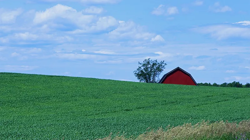 featured image