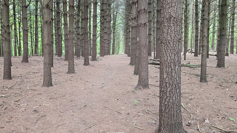 alton Hiking Trail