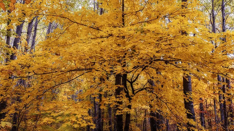 featured image