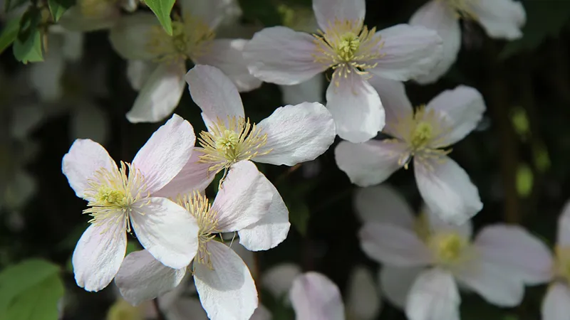 featured image