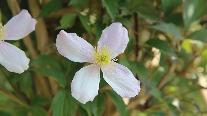 featured image