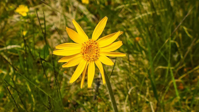 featured image