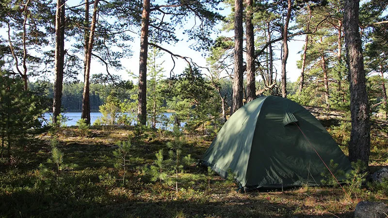 Camping
