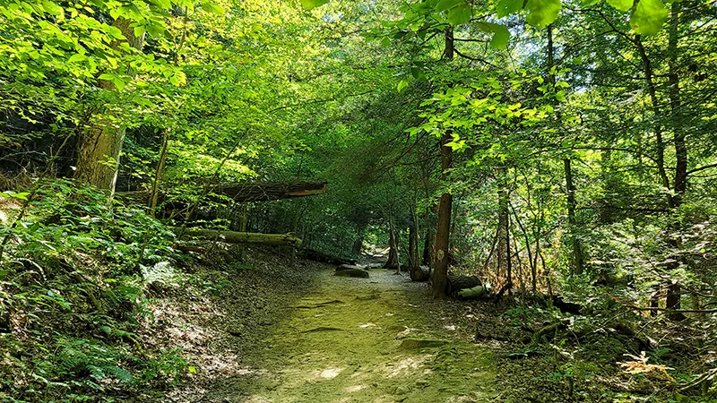Hiking