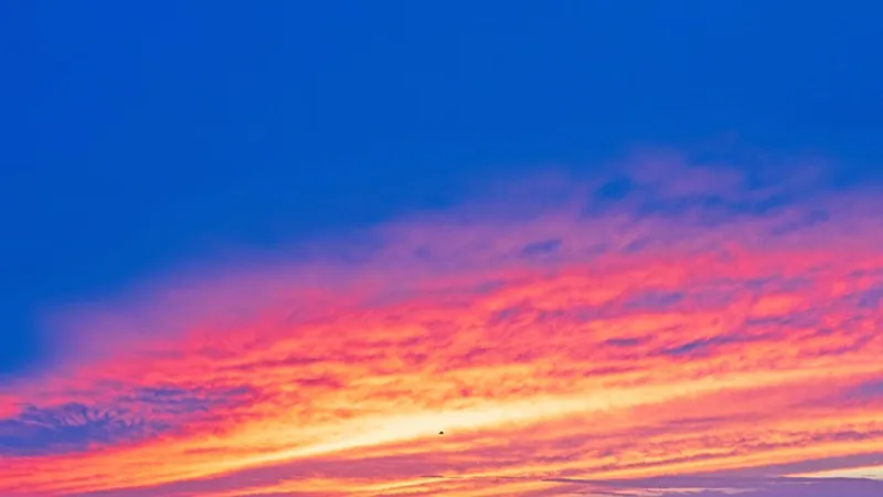 featured image
