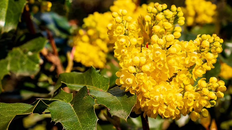 featured image