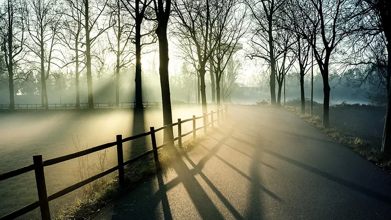 featured image