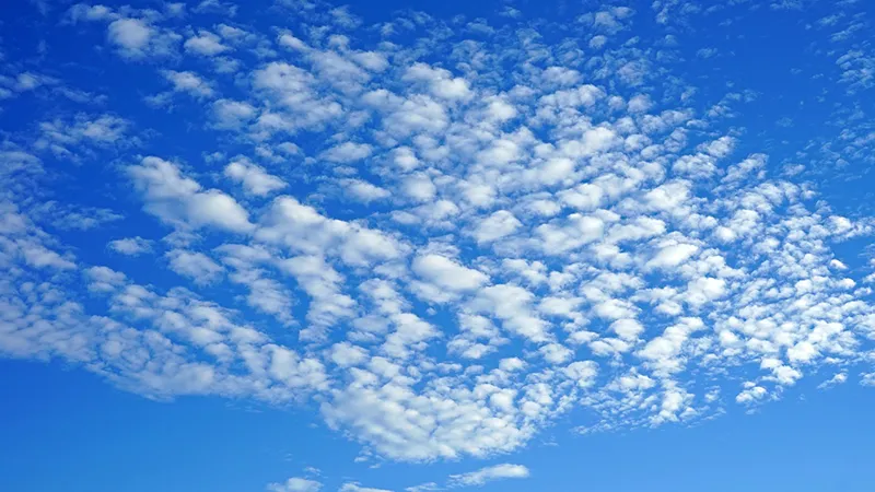 featured image