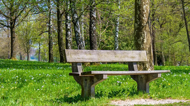 featured image
