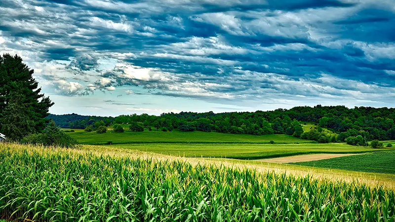 featured image