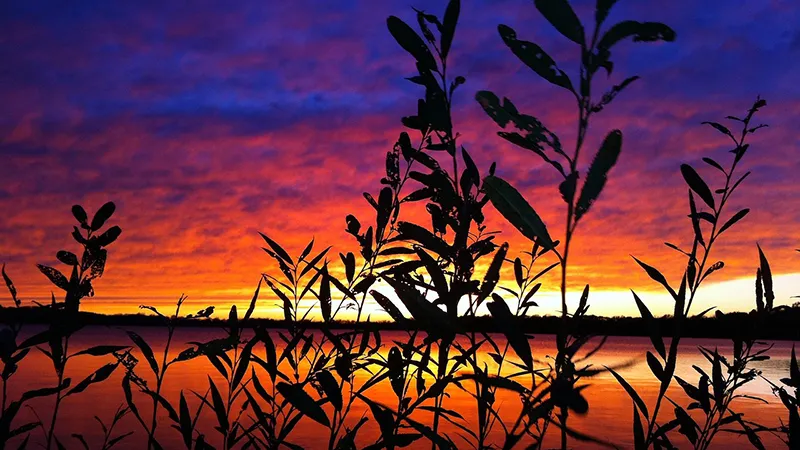 featured image