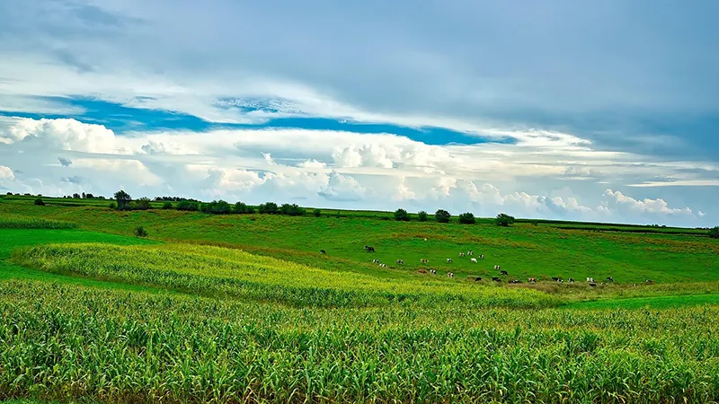featured image
