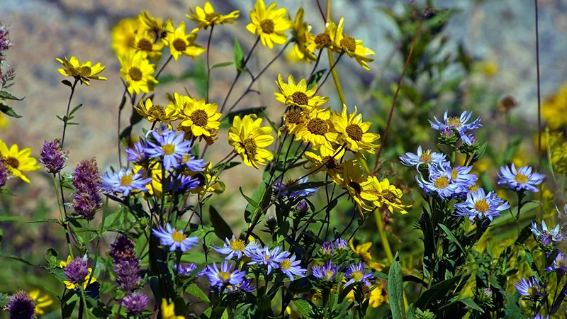 featured image