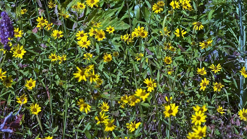 featured image