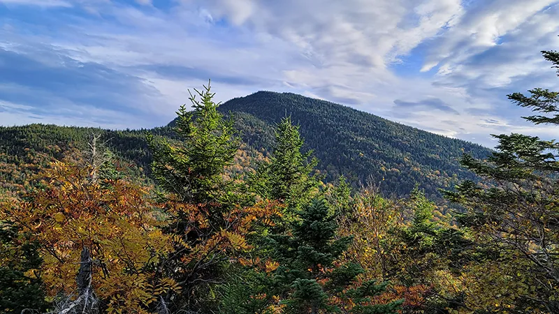 green mountain national forest