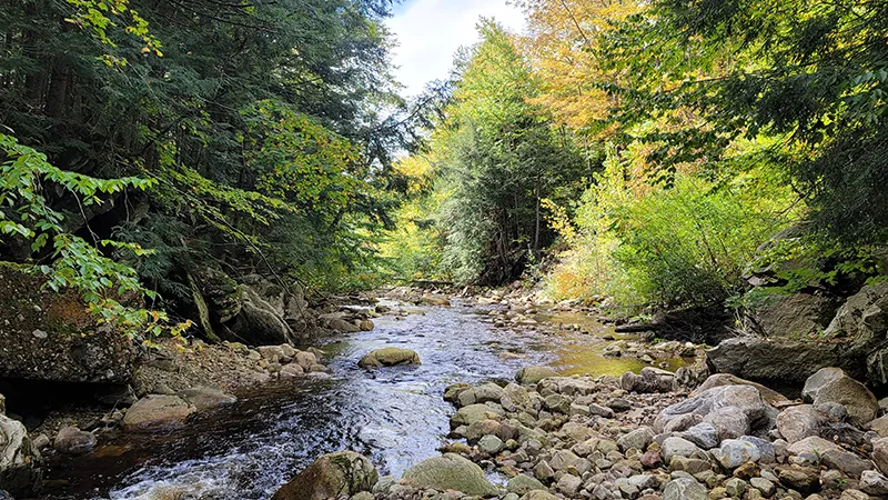 lye brook falls