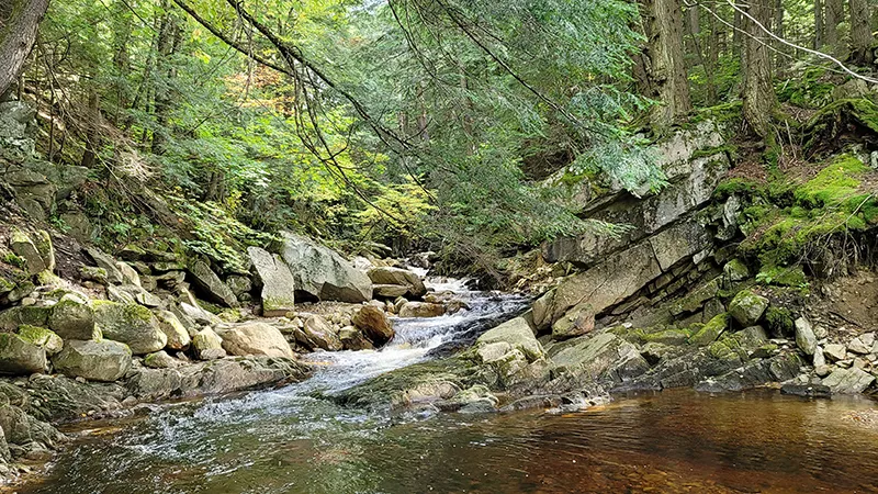 green mountain national forest