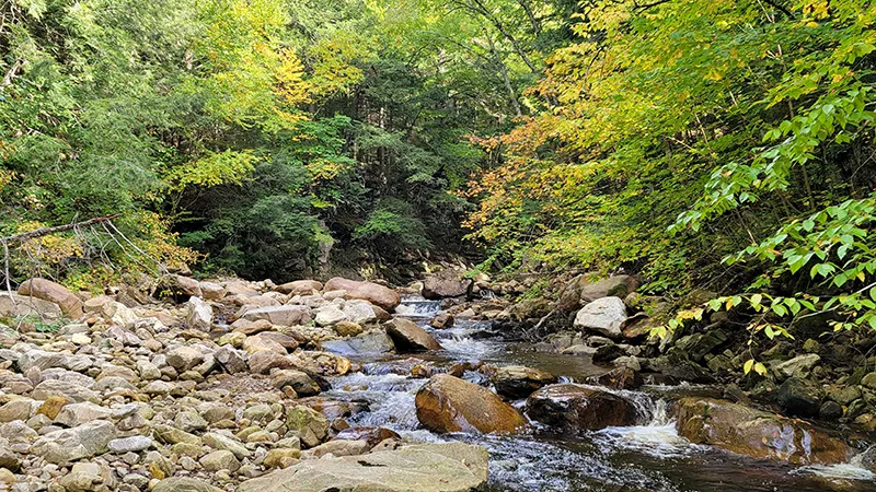 Green Mountain National Forest