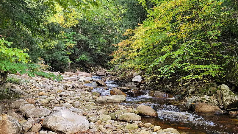 green mountain national forest